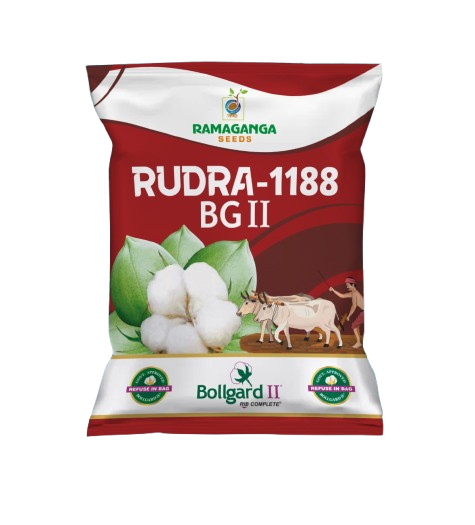 Bhishma 999